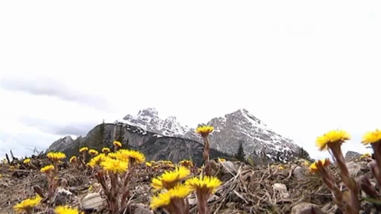 TORNA LA NEVE, TIMORI PER IL GIRO