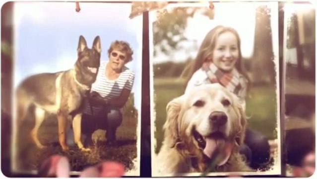 John's Pet Company (804) 516-2212