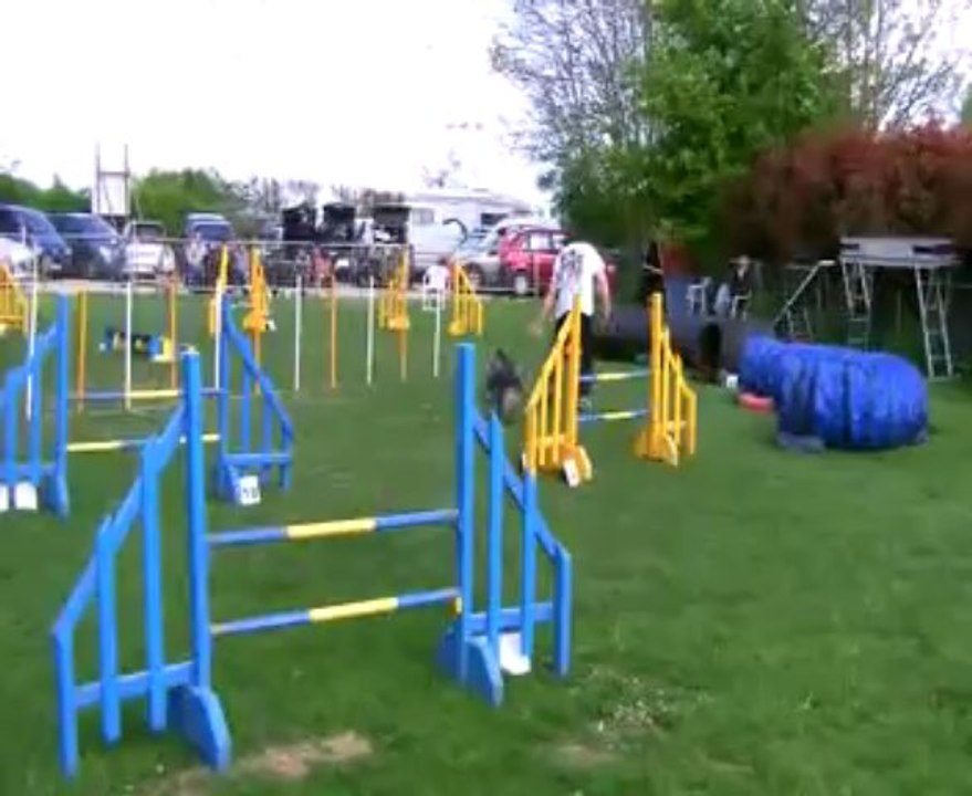 Concours de Saint Vrain 2013   Philippe+ELLA    JUMPING+