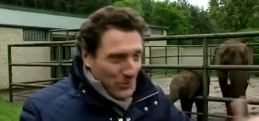 Nelly The Elephant Predicts Bayern Munich To Win Champions League