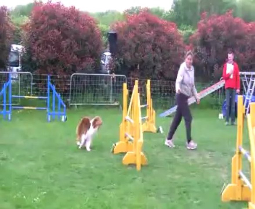 Concours de Saint Vrain 2013 ,Bénédicte GPF ,