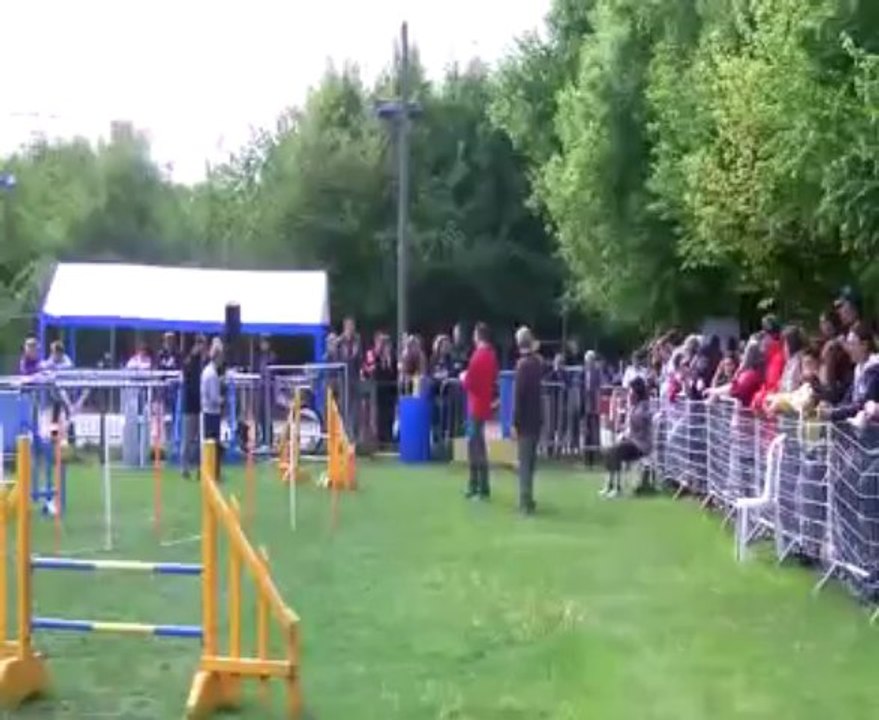 Concours de Saint Vrain 2013  BENEDICTE JUMPING