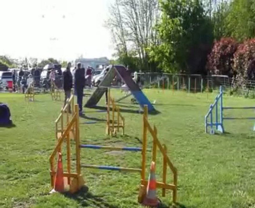 Concours de Saint Vrain 2013  / cassis/ Open