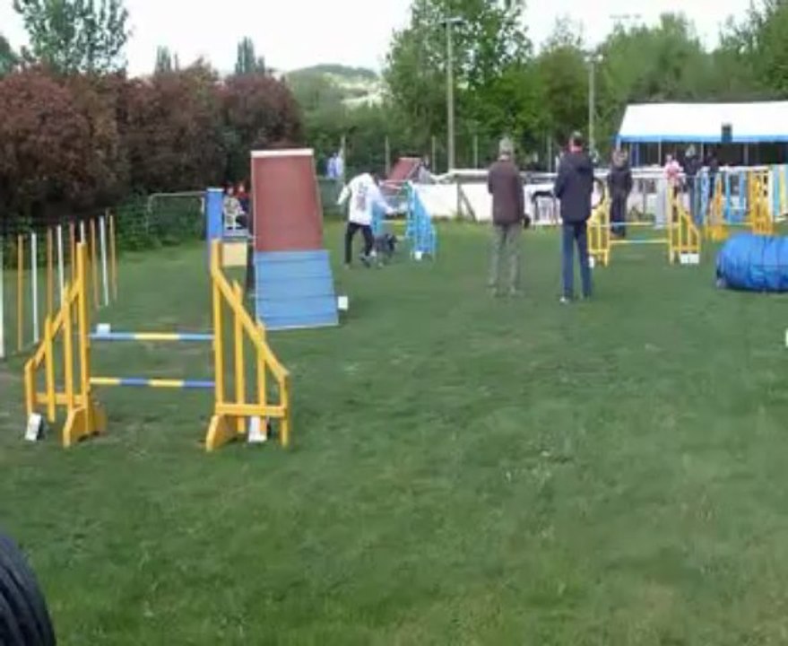 Concours de Saint Vrain 2013   Philippe + Ella    Open+