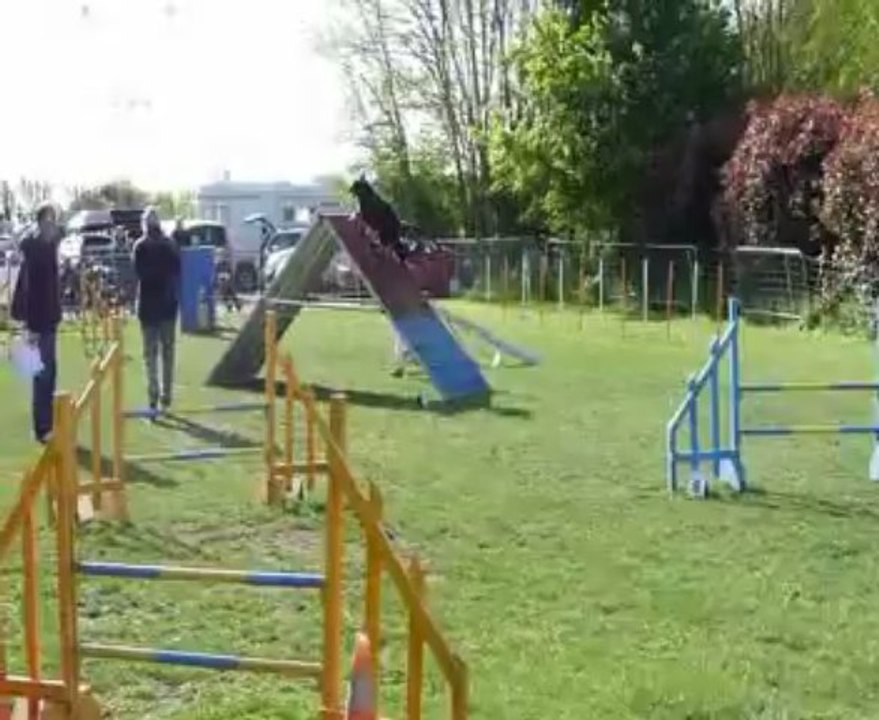 Concours de Saint Vrain 2013    Evan+Estrella   Open