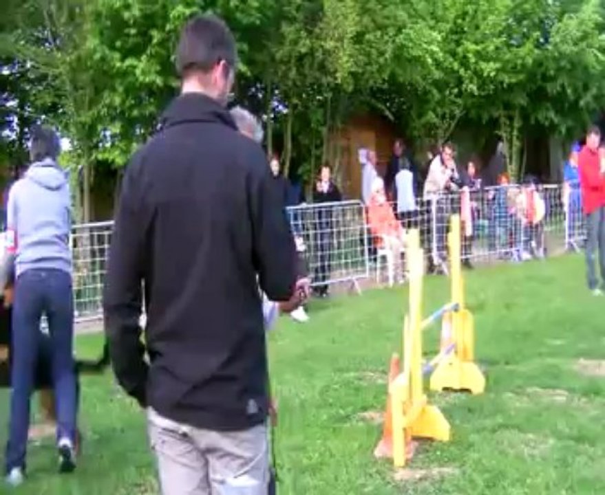 Concours de Saint Vrain 2013  FANFAN + DANA   JUMPING+