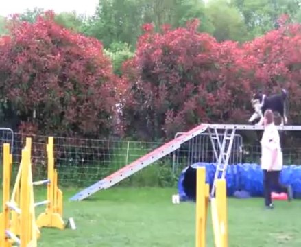 Concours de Saint Vrain 2013 FEEBY+ GIGI / GPF