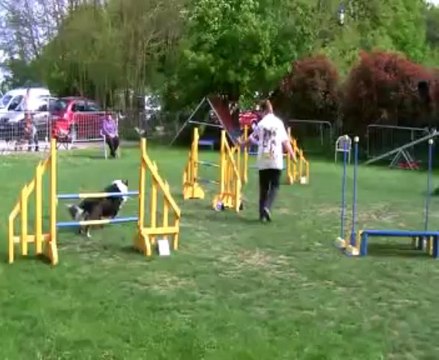 Concours de Saint Vrain 2013 FEEBY+GIGI / JUMPING