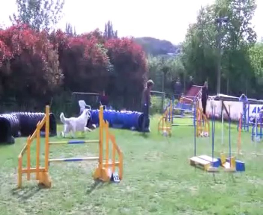 Concours de Saint Vrain 2013   MARIE+CASSIS   JUMPING