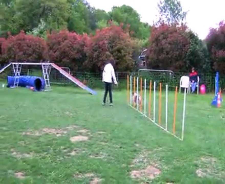 Concours de Saint Vrain 2013   VERO+CHRISTAL    GPF