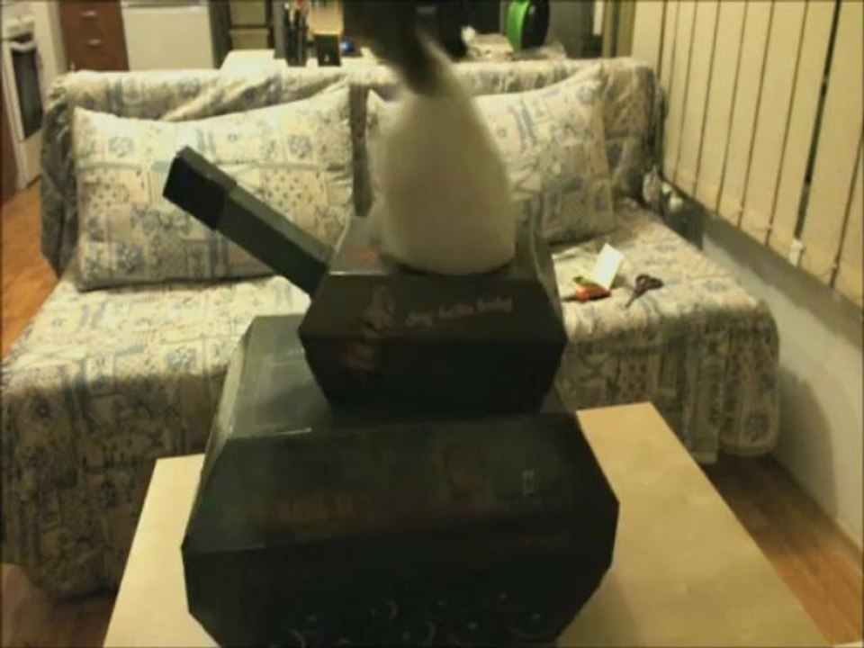 Jouet Pour Chat
