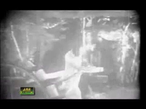 HAYE HAYE LOKO CHOR VE ( NOOR JEHAN ) By Aslam Nasir