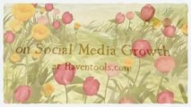Raven Tools Blog Review - Discount Coupon Codes