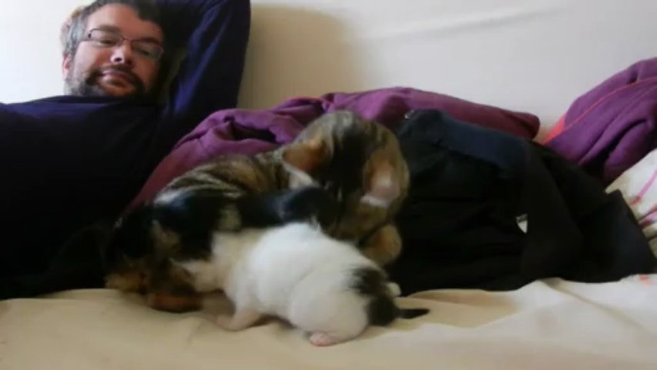 La flèche sur le canapé