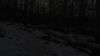 Walking the Woods (2013) - Official Trailer [HD]