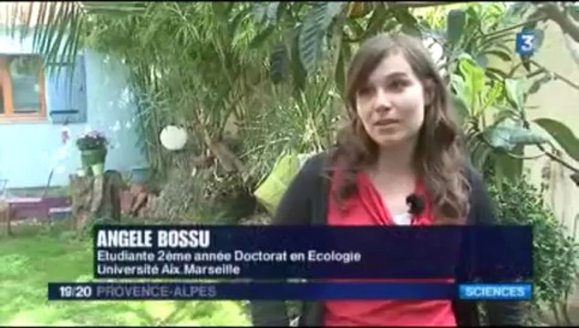 Journal France 3 19_20 Provence-Alpes du 11 avril 2013