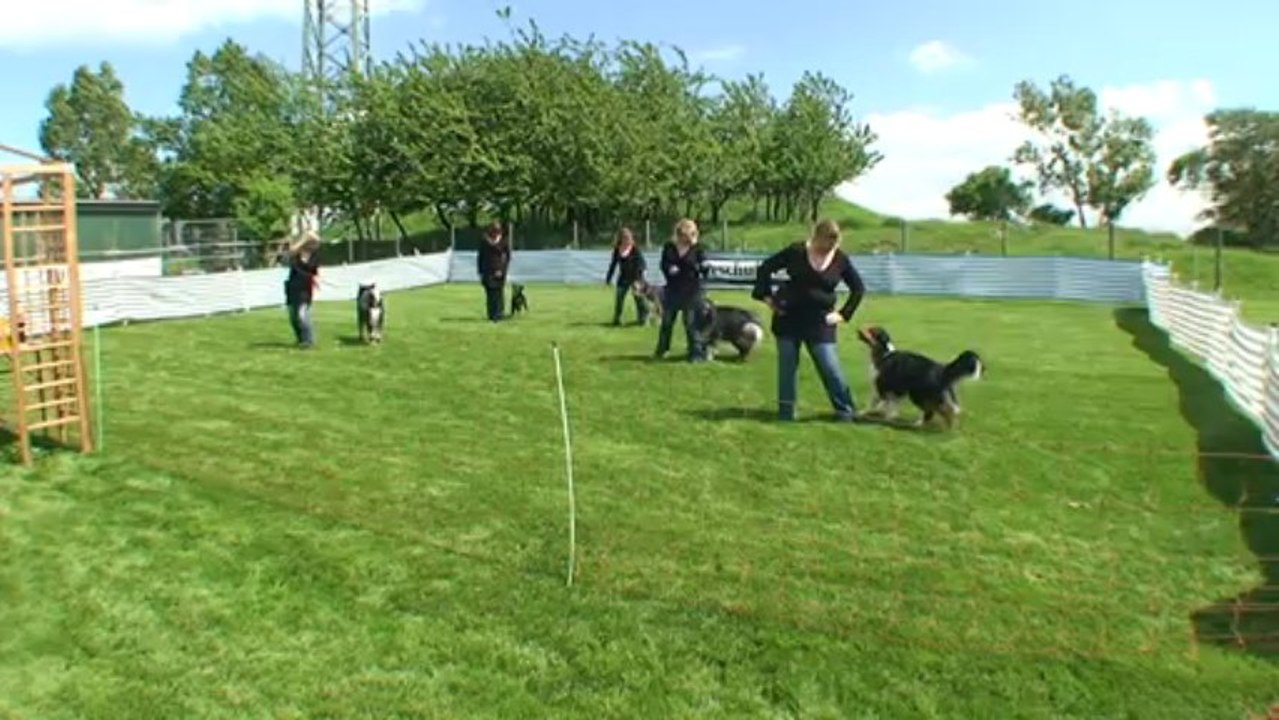 18.May13 - DD-Turnier Feilbingert - HSD