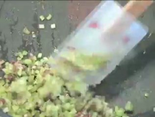 Huîtres chaudes céleri-curry