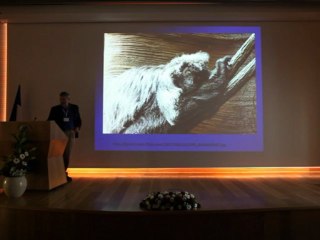 Healthcare on the wild side - Pr Nogah HAMARATI Part 1