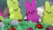 Easter Cakes : How to make a Easter Cake