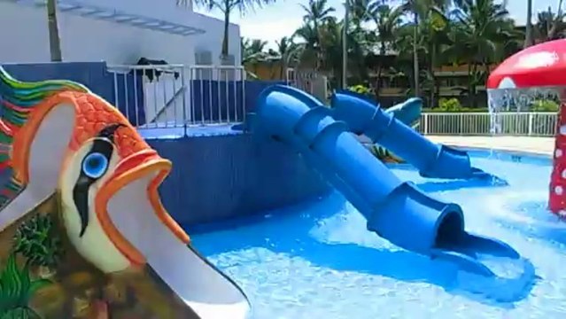 RIU Resort Punta Cana Riu Hotels Riu Palace Riu Clubhotels Strandhotels RIUhotels Riu Hotel