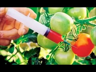 Κωδικός τροφίμων βιώσιμη ανάπτυξη έγερση - Ατζέντα 21