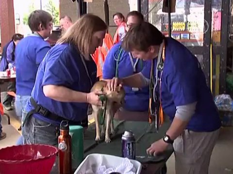 Торнадо в Оклахоме: люди ищут вещи и животных