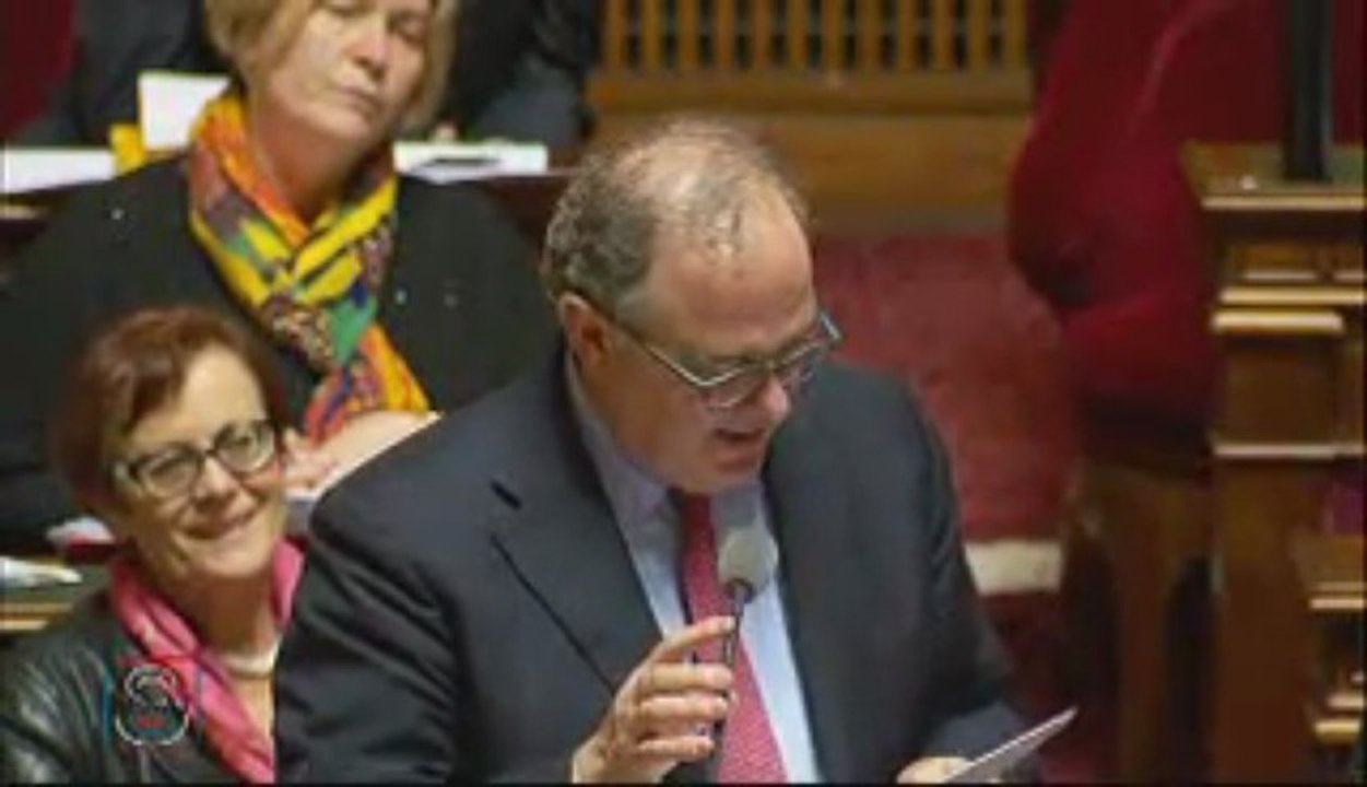 QAG de Jean-Jacques Mirassou sur Sanofi ( 23 mai 2013)