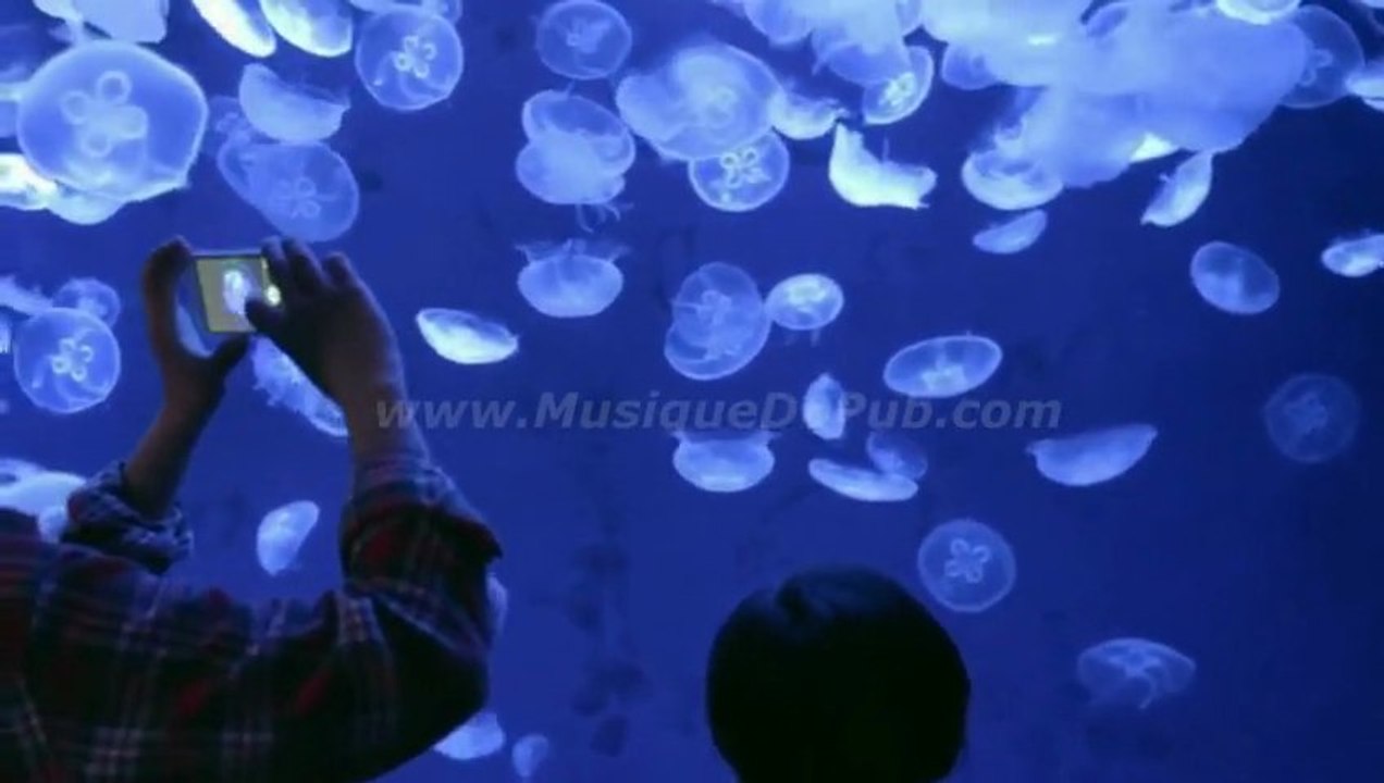 pub Apple iPhone 5 'Photos Every Day' 2013 [HQ]