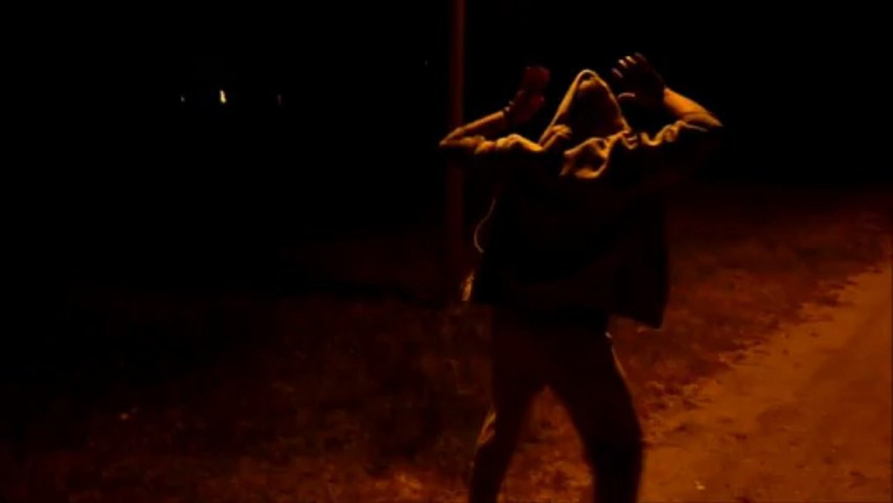 harlem shakes faites par les filles de roubaix feminin