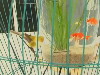 Vidéo : 10 créateurs pour fêter les 10 ans de NOW ! Design à vivre !