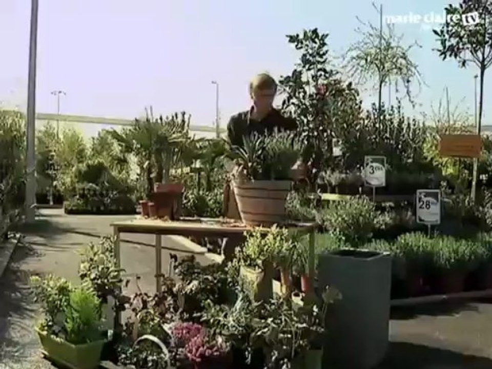 Vidéo : balcon plein sud, quelles plantes choisir.