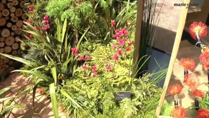 A chacun son coin vert avec les micro-jardins