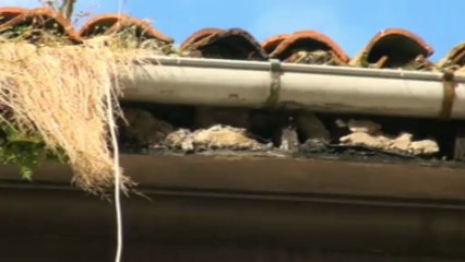 CandasTV cierre acera por desprendimientos