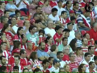 Festa na Arena Pernambuco impressionou muito