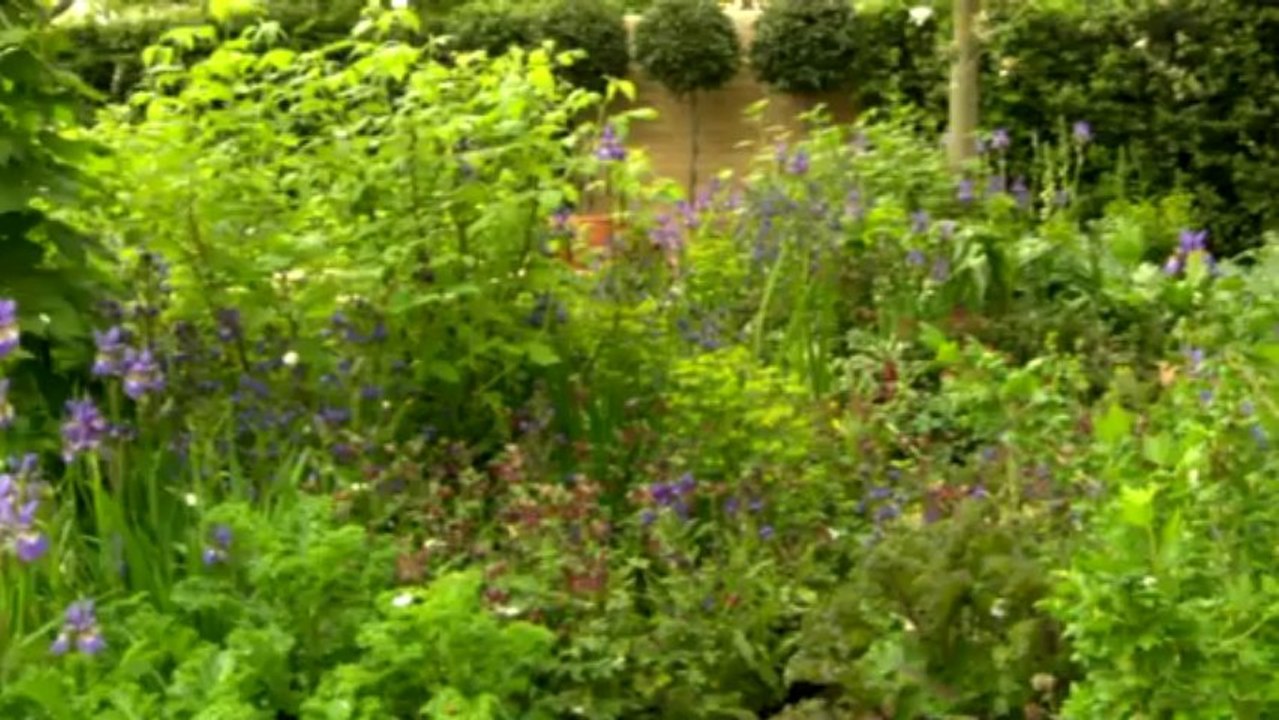 Award winning garden designer Adam Frost talks about this year's RHS Chelsea Flower Show