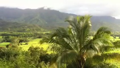 Hanalei Bay lookout