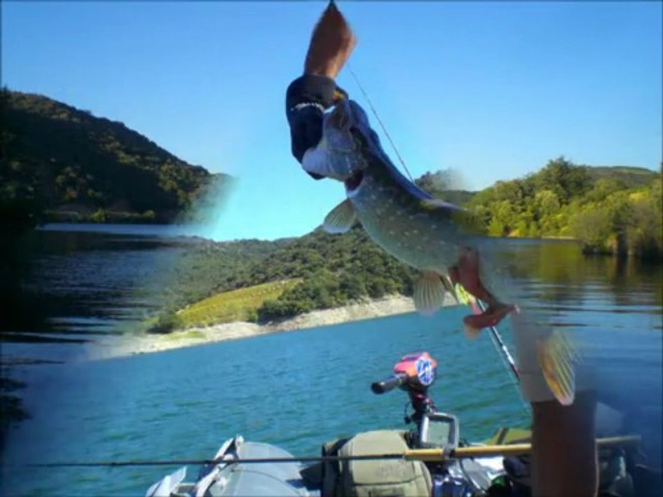 Pêche Sportive et de Loisir en Eau Douce avec Roussillon Fishing