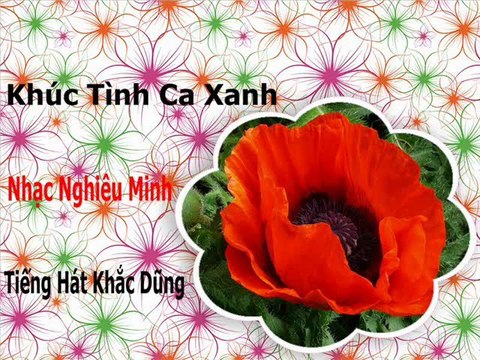 Khúc Tình Ca Xanh - Nhạc Nghiêu Minh &Tiếng hát Khắc Dũng - Vietnamese Lyrics