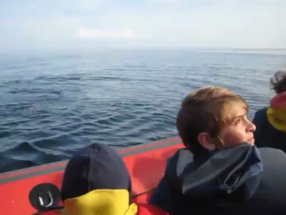 Baleine a bosse à Bergeronnes (Qc, Canada) proche du bateau en août 2010