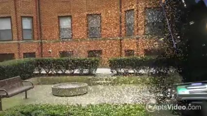 Astoria Properties Apartments in Chicago, IL - ForRent.com