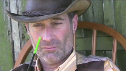 Abat guêpe Magique: un ustensile écologique et pratique contre tous les insectes