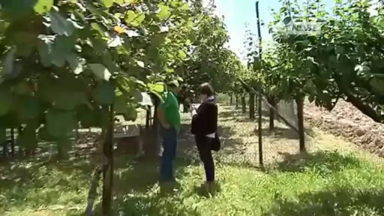 RAID NOTTURNO. STRAGE DI ANIMALI