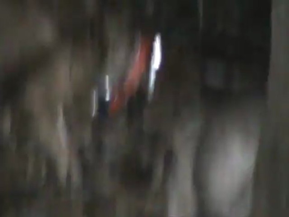 Sue