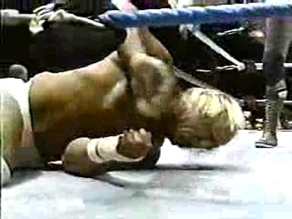 Hogan vs. Race Texas Death Match