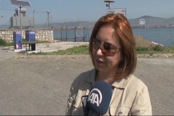 Sokak hayvanları gözlem altında