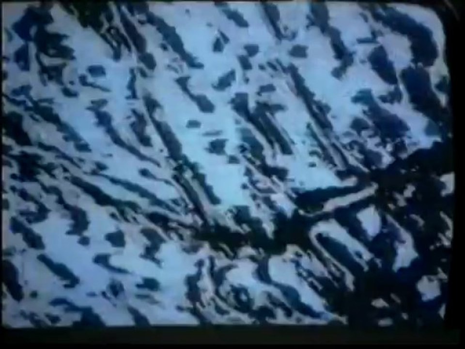 Jeffrey Shaw  / interview