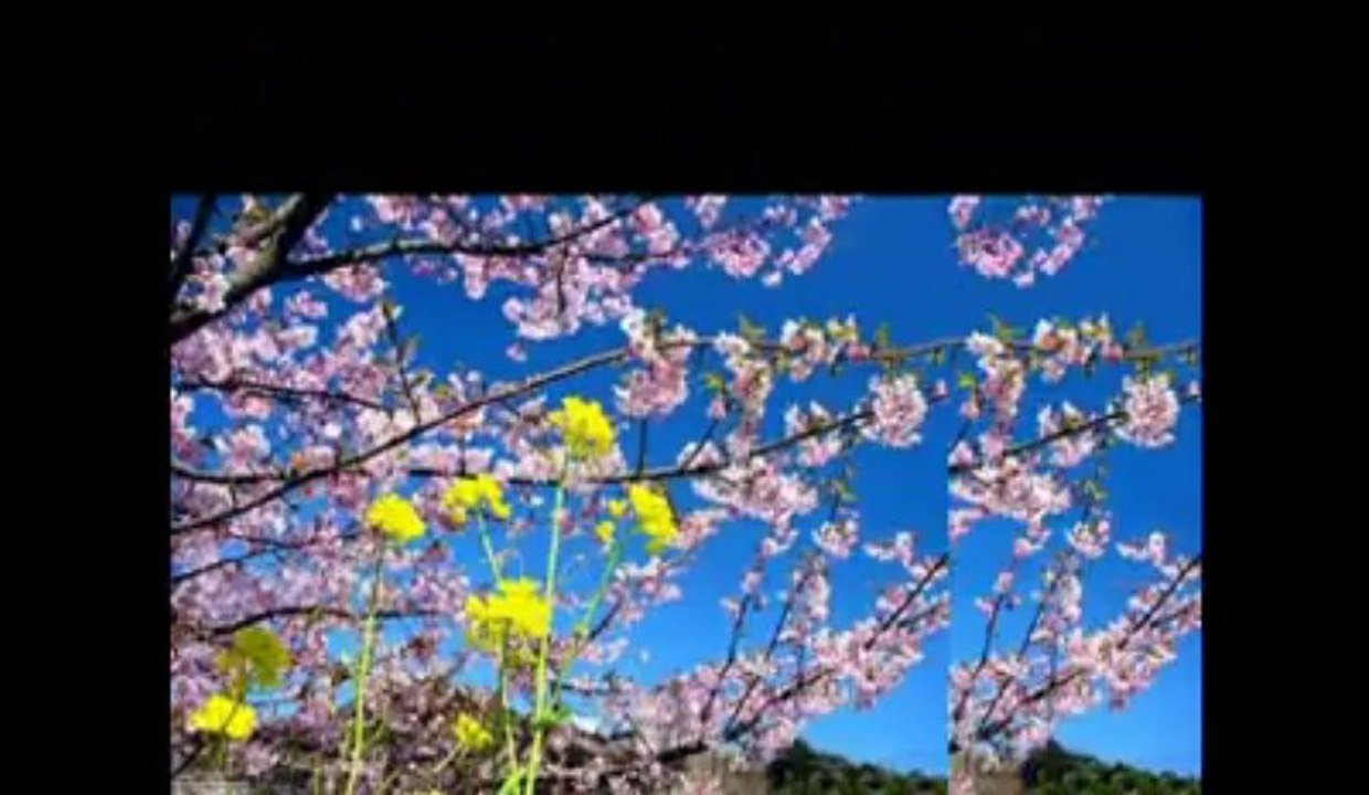 Voglia di Primavera