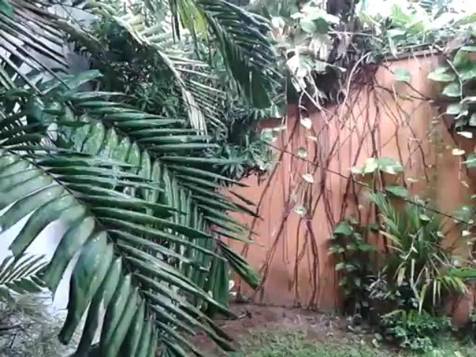Raining....