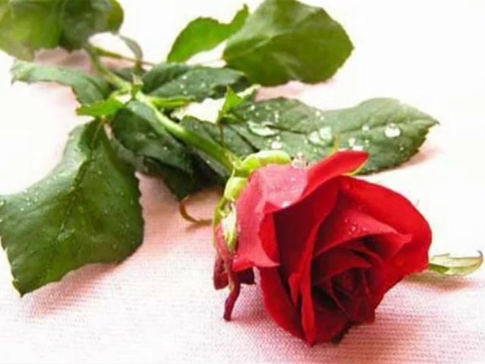 Dedykacja dla wszystkich Mam , w dniu Ich Święta